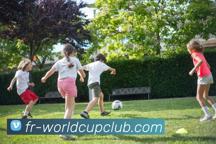 世界杯官网发展历程